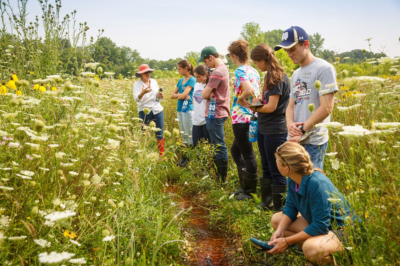 Chương trình định cư diện có giấy phép lao động hiện hành